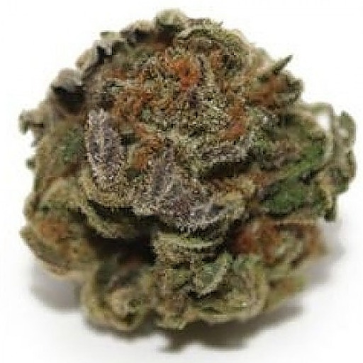 Bula Farms Black Star Leafly